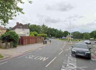 Investigation underway for fatal Croydon 3-car crash involving police nvestigation-underway-for-fatal-croydon-3-car-crash-involving-police