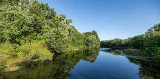 Waltham Forest Feel Good Centre Chingford Road London Activities Waltham Forest Feel Good Centre Chingford Road London Activities