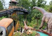 Exciting £12m Expansion Announced for Theme Park Near London exciting-12m-expansion-announced-for-theme-park-near-london