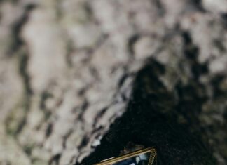 London Borough Of Waltham Forest: Discover Hidden Gems And Secrets