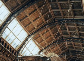 National History Museum London: Discover Secrets That Amaze