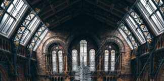 Serial Killer Exhibition London: Uncover Shocking True Crime Secrets