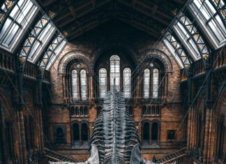 Serial Killer Exhibition London: Uncover Shocking True Crime Secrets