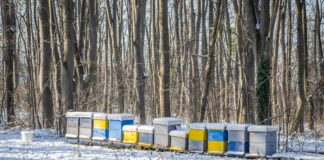 Time Of Sunrise In London: Discover The Best Moments To Start Your Day