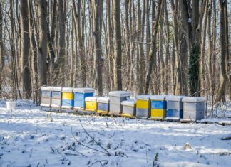 Time Of Sunrise In London: Discover The Best Moments To Start Your Day