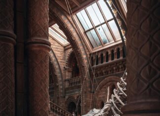 Free Museums in London: Discover Hidden Gems You Can’t Miss