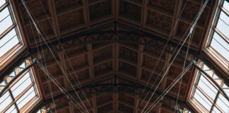 Natural History Museum London Secrets: Discover Hidden Wonders Today