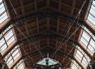 Natural History Museum London Secrets: Discover Hidden Wonders Today