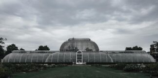 Sky Garden London Tickets: Discover Secrets to an Unforgettable Visit