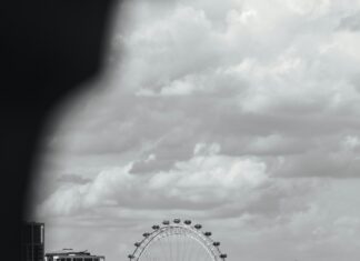 Royal Opera House London Secrets: Why It’s A Must-Visit Icon