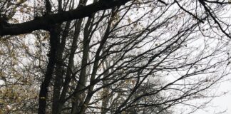 Gangs Of London Season 3: What Shocking Twists Await Fans?