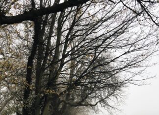 Gangs Of London Season 3: What Shocking Twists Await Fans?