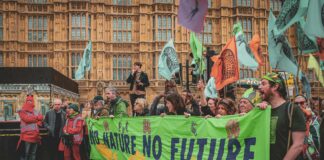 The Westminster London Curio Collection By Hilton: Secrets Revealed