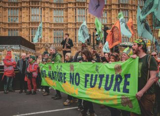 The Westminster London Curio Collection By Hilton: Secrets Revealed