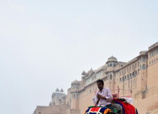 Elephant And Castle London: Discover Hidden Gems And Local Secrets