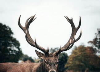 Fall Of London Movie: Shocking Twists That Will Blow Your Mind