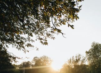 Hilton London Syon Park: Discover Luxury and Tranquil Escape