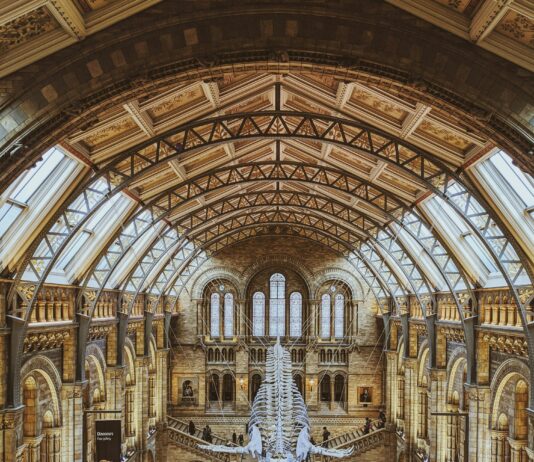 Imperial War Museum London: Discover Untold Stories of Heroism