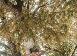 London To Mumbai Flight: Discover The Ultimate Travel Secrets Today