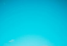 Duck And Waffle London: Discover The Iconic Sky-High Dining Experience