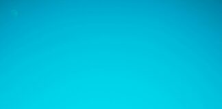 Duck And Waffle London: Discover The Iconic Sky-High Dining Experience