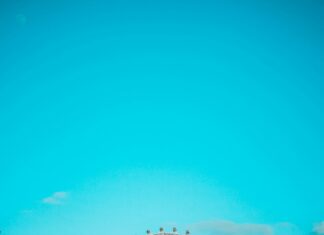 Duck And Waffle London: Discover The Iconic Sky-High Dining Experience