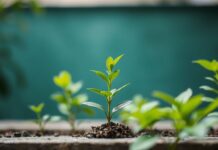 Global Environmental Initiatives: A Spotlight on Santo Domingo’s Green Efforts Global Environmental Initiatives: A Focus on Santo Domingo's Green Endeavors