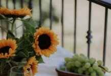 Cheese and Wine Hampers Remain a Firm Favourite for Gifting Cheese and Wine Hampers Remain a Firm Favourite for Gifting